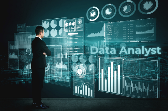 Data Analyst
