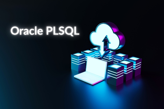 Oracle PLSQL