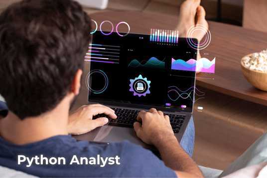 Python Analyst