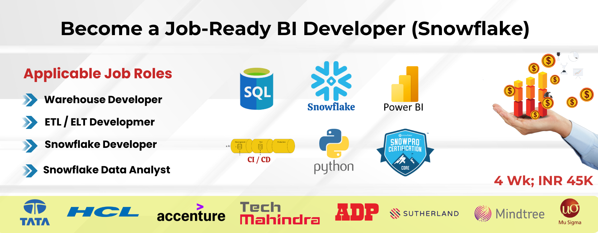 BI Developer (Snowflake)