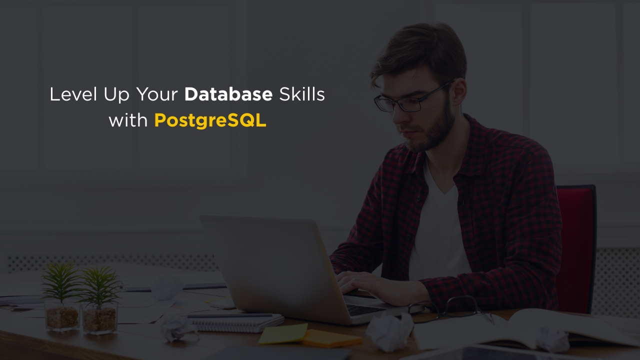 PostgreSQL Developer