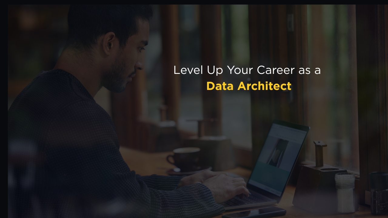 Data Architect