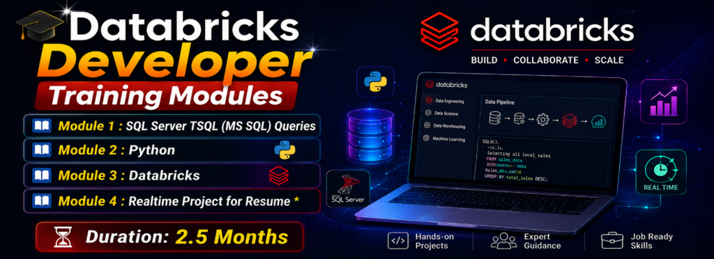 Databricks Developer - SQL School