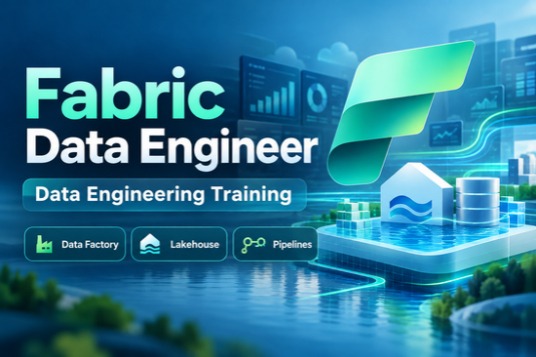 fabric Data Engineer
